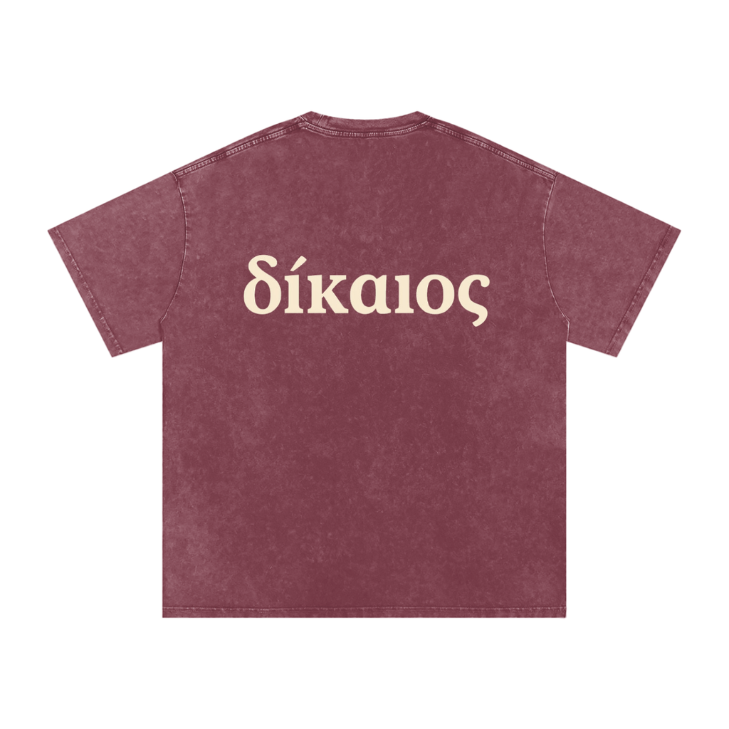 δίκαιος Snow Washed Cotton T-Shirt