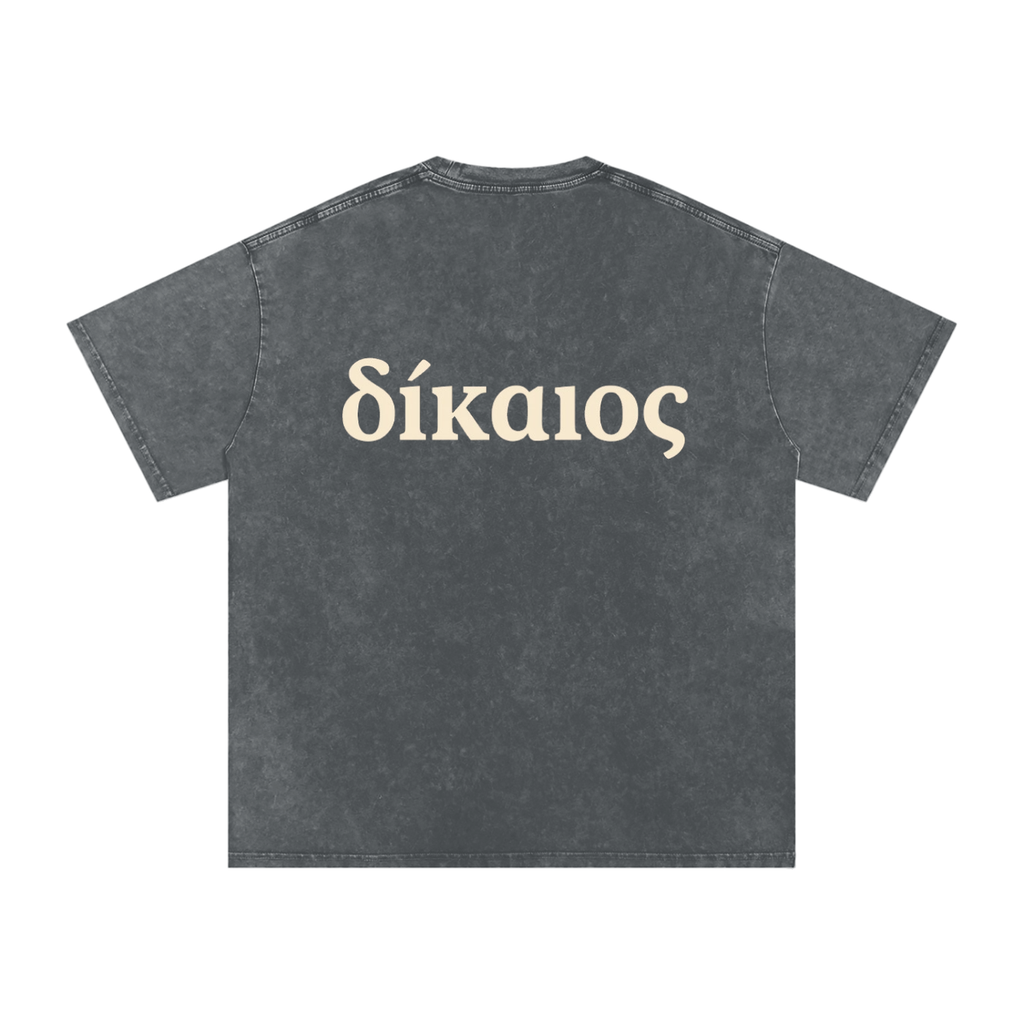 δίκαιος Snow Washed Cotton T-Shirt