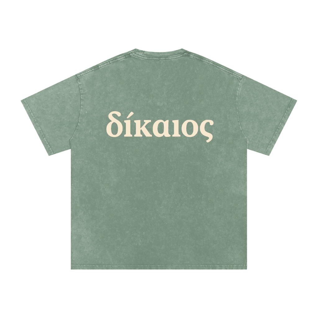 δίκαιος Snow Washed Cotton T-Shirt