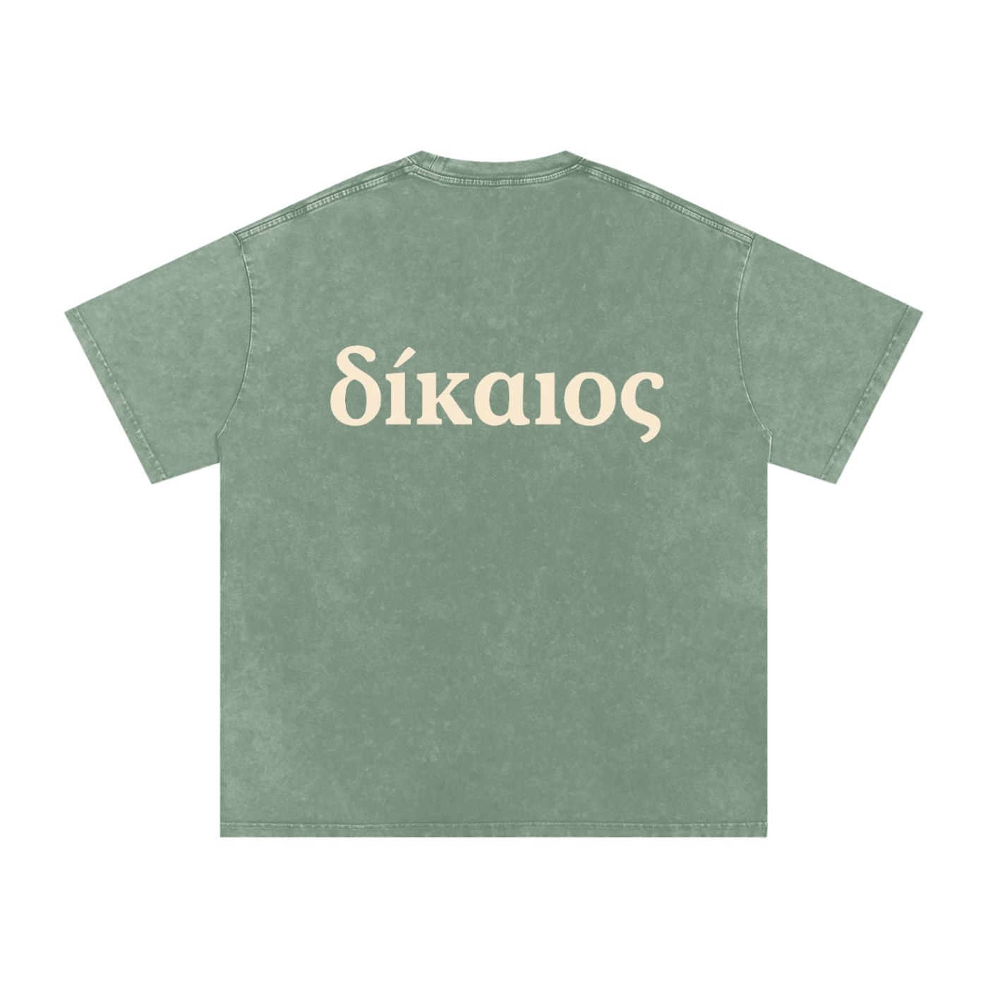 δίκαιος Snow Washed Cotton T-Shirt
