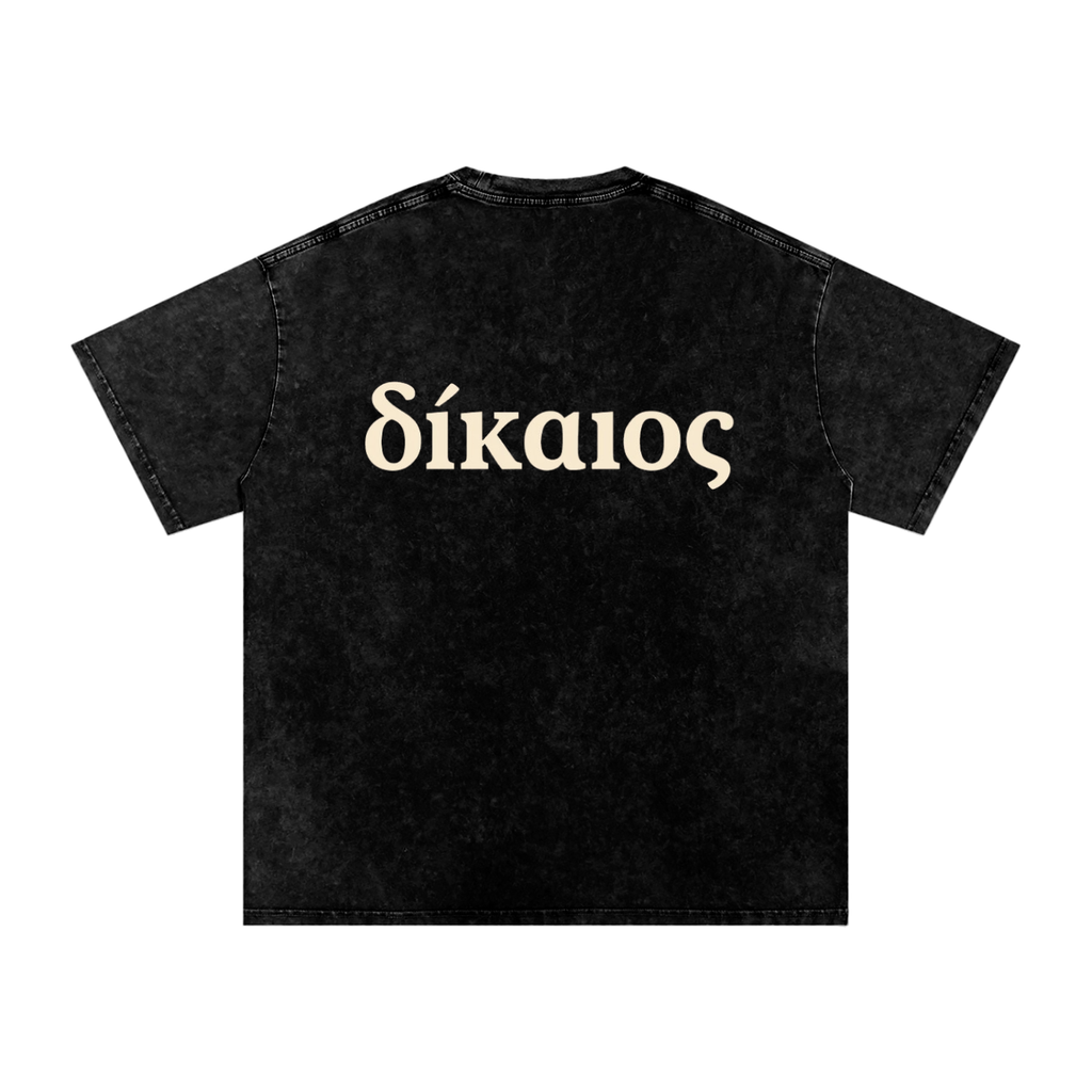 δίκαιος Snow Washed Cotton T-Shirt